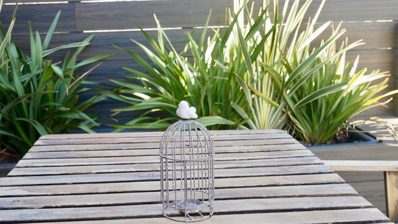 Bird House Pansiyon Barselona Dış mekan fotoğraf